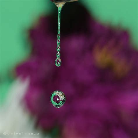 Split Second Water Drop Refraction Photography :: Behance