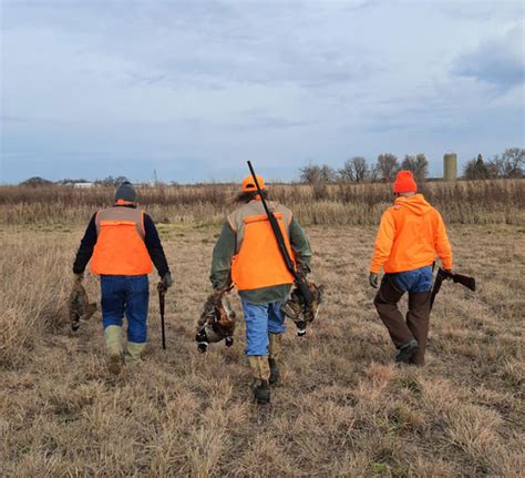 Pheasant Season Set To Get Underway This Weekend Radio Iowa