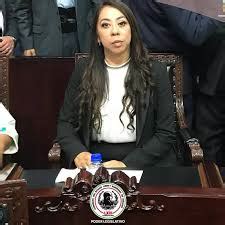 Ocho Diputados Locales Dejan Sus Curules DESDE ABAJO MX