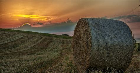 Scrivere Con La Luce La Terra Produce Il Grano Ma Luomo Produce Il