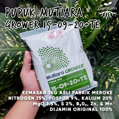 Jual Pupuk NPK Mutiara Grower 15 09 20 TE Hijau 1 Kg Kemasan ASLI