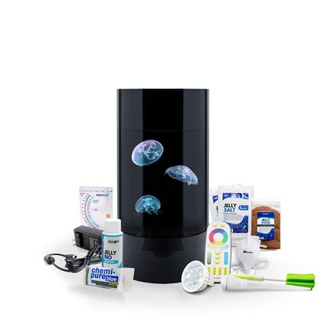 Jellyfish Aquarium Kits – Jellyfish Art