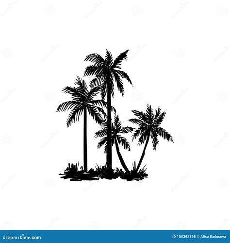 Vector Hand Drawn Illustration Of Tropical Palm Tree Stock Vector