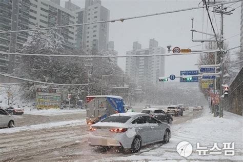 최대 20cm 많은 눈광주·전남 일부 지역 대설주의보 네이트 뉴스