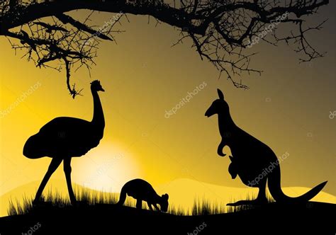 Kangaroo and emu Stock Vector Image by ©ekays #12810240