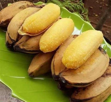 Pisang Rebus Makanan Orang Lama Yang Kaya Khasiat Purple Durian