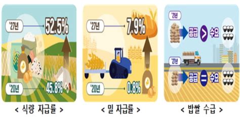 올해 쌀 작황 부진에도 15만5000톤 공급과잉구조적 문제 심화