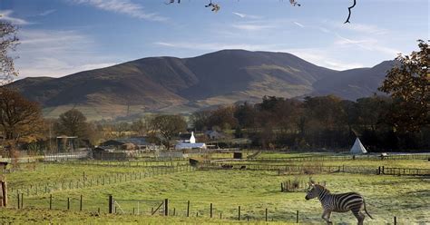 The Lake District Wildlife Park - Bassenthwaite - Visit Lake District