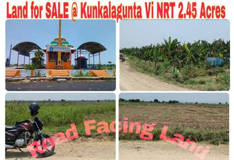 Agricultural Land Acre For Sale In Narasaraopet Guntur Rei