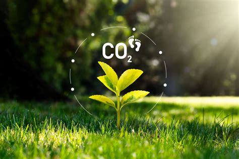 Aprenda como calcular a pegada de carbono Órigo Energia