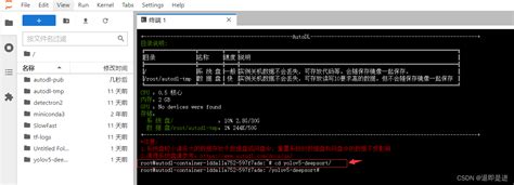 在AutoDL中复现yolov5 deepsort自学习 deepsort yolov5项目复现 CSDN博客