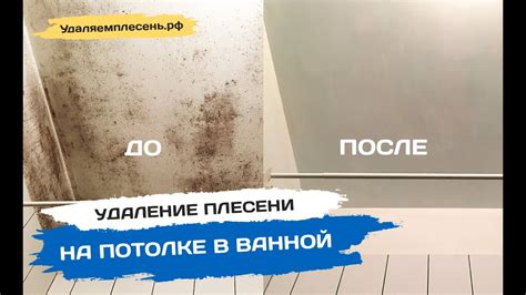 Удаление плесени на потолке в ванной - YouTube