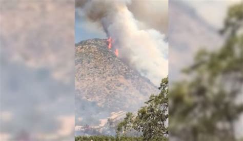 Intensidad alta y rápida propagación Incendio forestal ha consumido