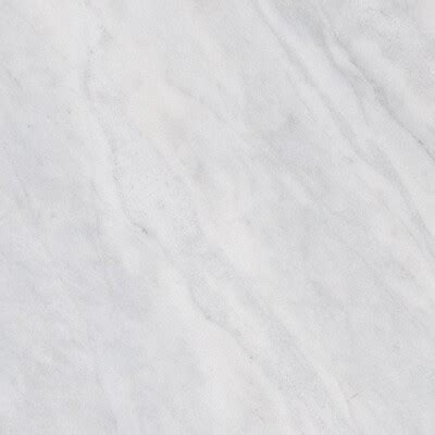 Calacatta Viola Honed Marble Tile X X Gray White Marble