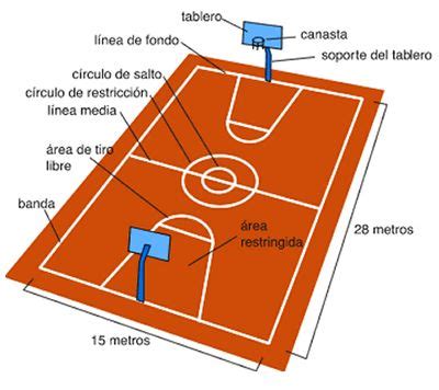 Cancha De Basquetbol Con Medidas