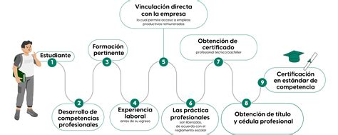 Sistema de Educación Dual Media Superior