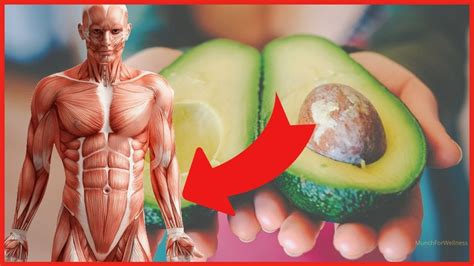 🥑 What Happens When You Eat Avocado Every Day New Ways To Eat Avocado Youtube