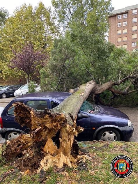 Un Rbol Cae Encima De Un Coche Y Una Rama Obliga A Cortar Una Calle En