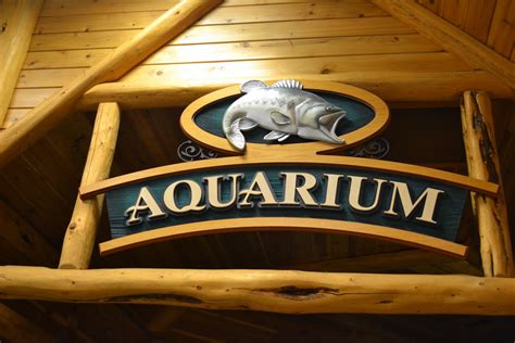 My Country Roads: Wild and Wonderful : Aquarium at Cabela's