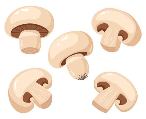 Sliced Mushrooms Illustrations Royalty Free Vector Graphics And Clip Art