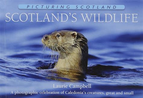 Scotlands Wildlife Picturing Scotland Campbell Laurie