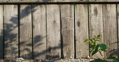 The Texture Of An Old Fence With A Shadow Wood Texture With Vertical