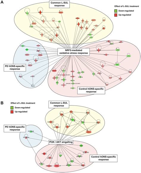 Transcriptomic Analysis Identified Discrete Mrna Sets Induced By L Sul Download Scientific