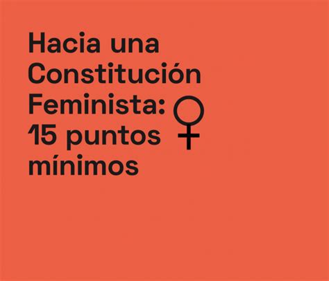 Hacia Una Constitución Feminista 15 Puntos Mínimos Nada Sin Nosotras