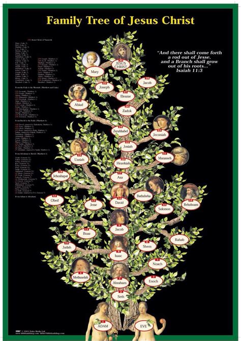 family tree  jesus christ nelsapy