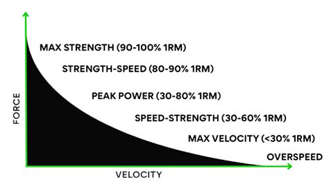 The Force Velocity Curve Exploring Different Types Of Strength