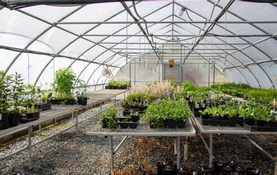 Native Plant Nursery