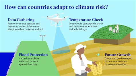 Impact Investing Climate Adaptation And Transition In A Changing World