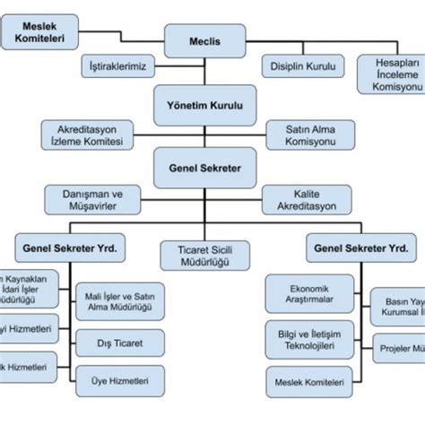 Organizasyon Şeması