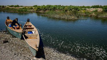 Sequ A En Irak Deja Miles De Peces Muertos A La Orilla Del R O Grupo