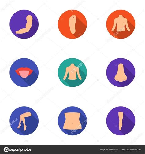 Part Of Body Set Icons In Flat Style Big Collection Of Part Of Body