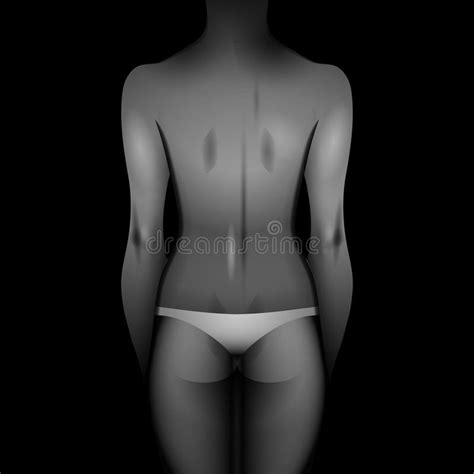 Women Body Template Stock Vector Illustration Of Appearance 81306653