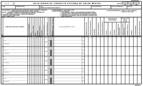 Hoja Diaria De Enfermeria