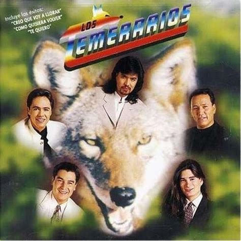 Mi Vida Eres Tu Análisis Significado Los Temerarios Musica