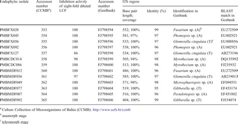 Identification Of Endophytic Fungi Isolates By Its Comparative Sequence