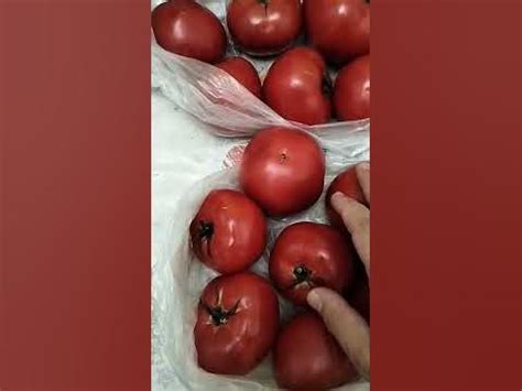 ОЧЕНЬ ВКУСНЫЕ И СЛАДКИЕ ПОМИДОРЫ ИЗ АШАН ПО СУПЕР ЦЕНЕ - YouTube