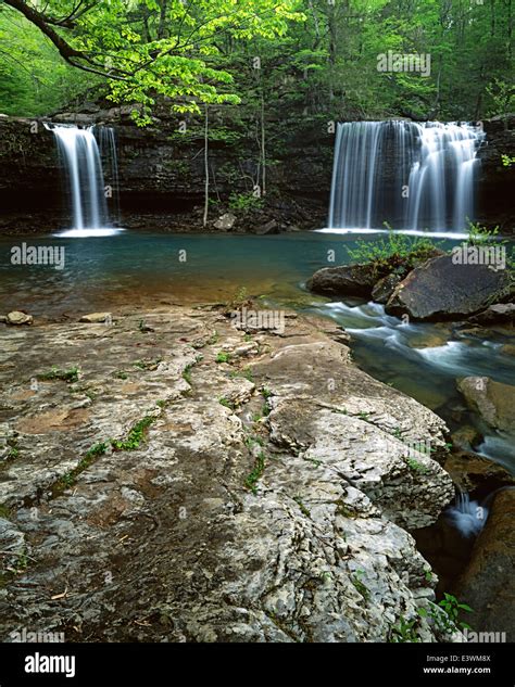 Usa Arkansas Ozark National Forest Richland Creek Wilderness Twin