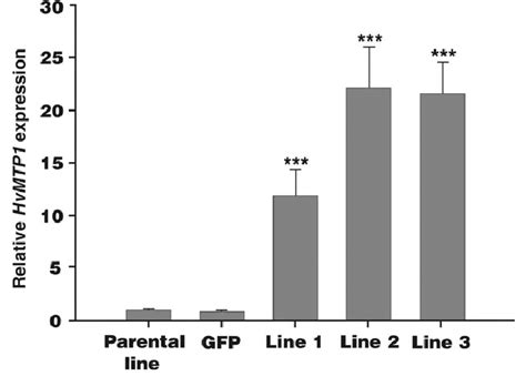 Quantitative Real Time Rt Pcr Analysis Of The Relative Expression