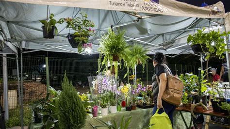 Feira de artesanato estará em diversos pontos da capital no mês de