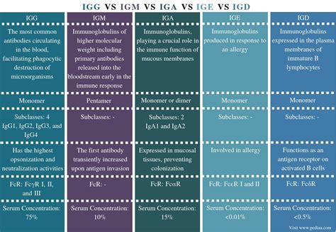 What is the Difference Between IgG IgM IgA IgE and IgD - Pediaa.Com