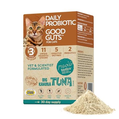 Cat Probiotics – The 15 best products compared - Wild Explained