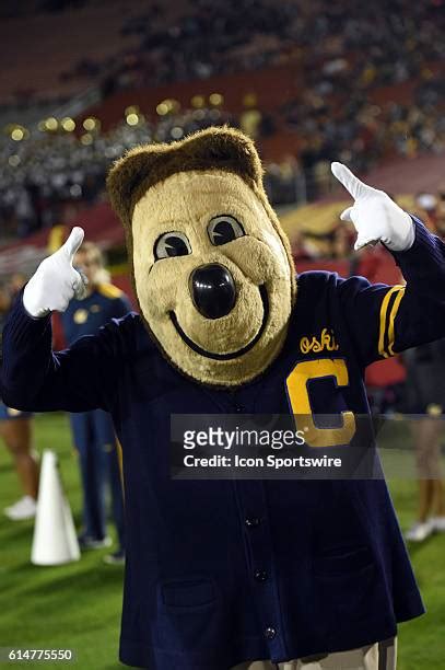 63 Oski (Mascot) Stock Photos, High-Res Pictures, and Images - Getty Images