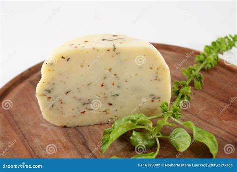 Cheese With Herbs Stock Photo Image Of Basil Cheese 16799302