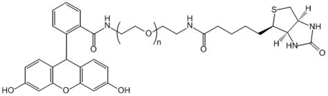 Biotin PEG FAM CD Bioparticles