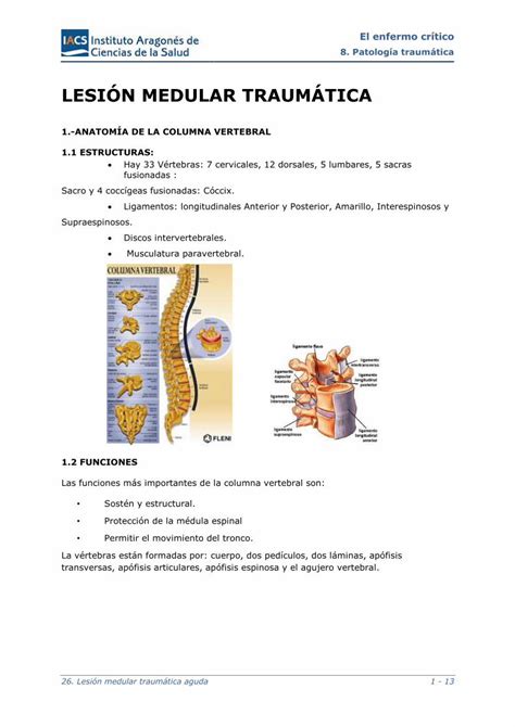 Pdf Lesi N Medular Traum Tica Ics Pdf Filelas Funciones M S