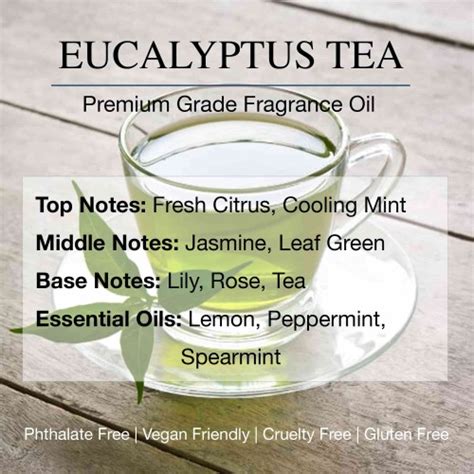 Eucalyptus Tea Premium Fragrance Oil Collection Daniella S Candles